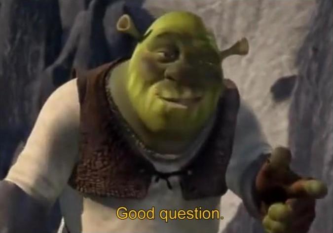 The meme of Shrek pointing past the camera and saying "Good question."