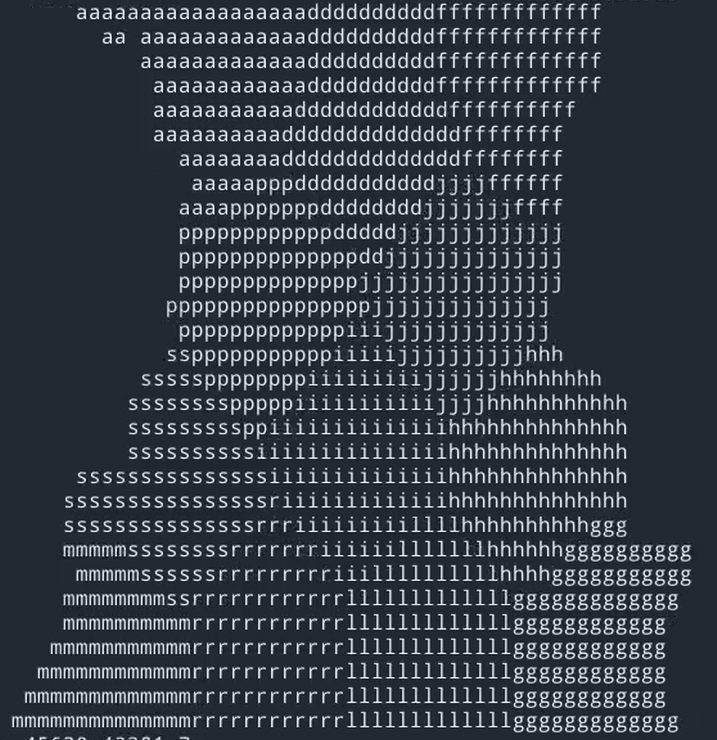 A screenshot of a terminal ASCII output for development. It is showing a voronoi diagram of points on Reimu's shadow.